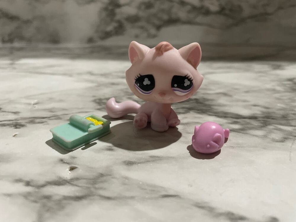 606 Tabby Bonbon Cat Sitting littlest pet shop